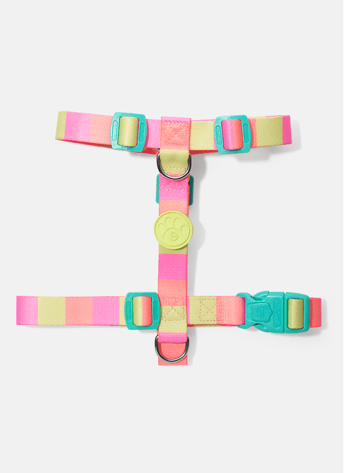 Kit Peitoral H + Guia Pets Color Block Rosa