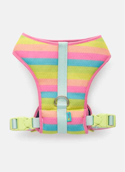 Peitoral Style para Pets Color Block