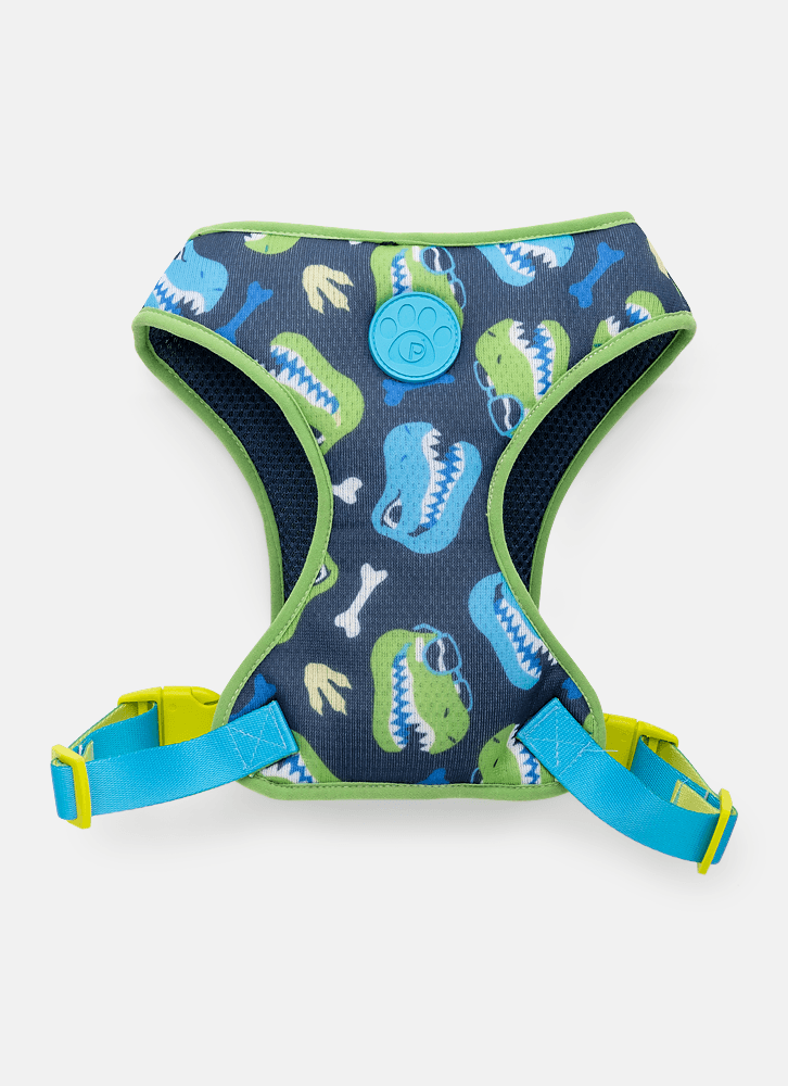 Peitoral-Style-Para-Pets-Dinossauro-Skate