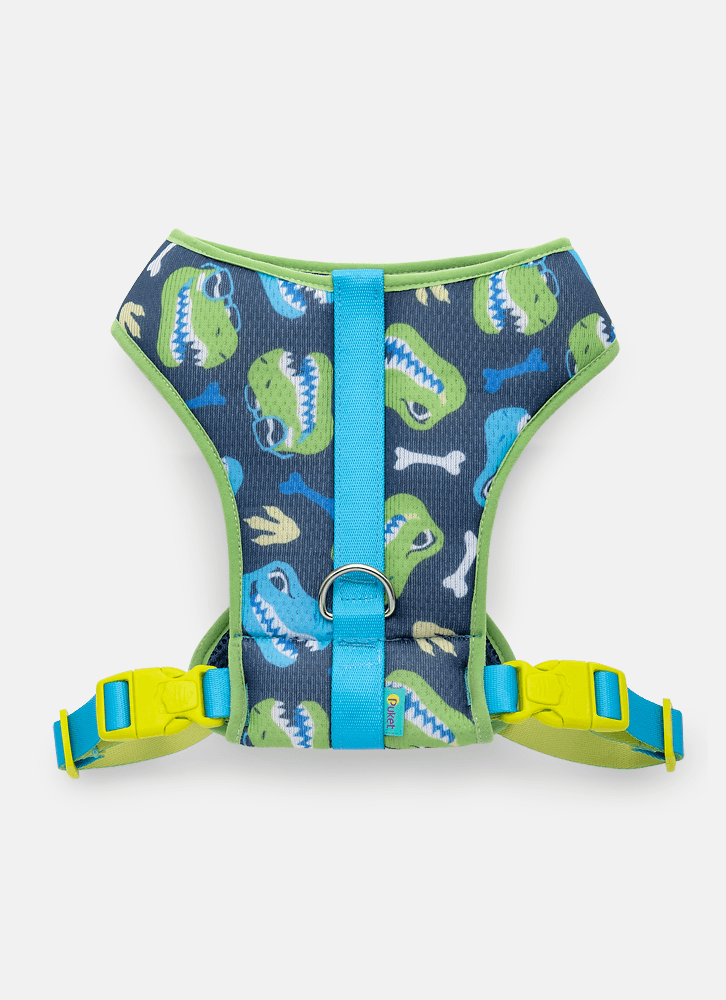 Peitoral-Style-Para-Pets-Dinossauro-Skate