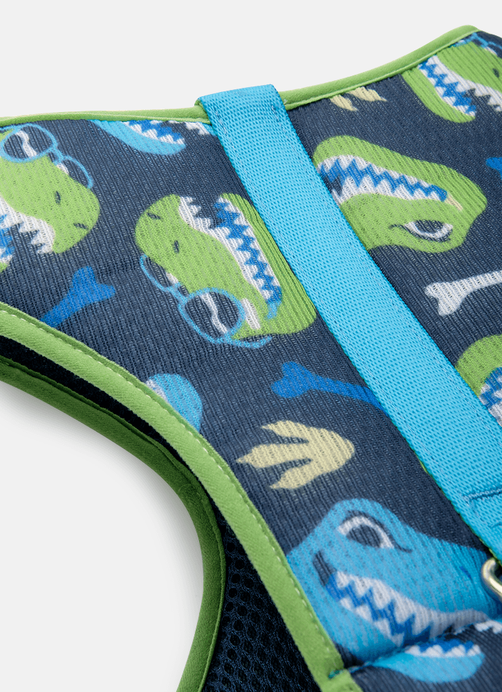 Peitoral-Style-Para-Pets-Dinossauro-Skate