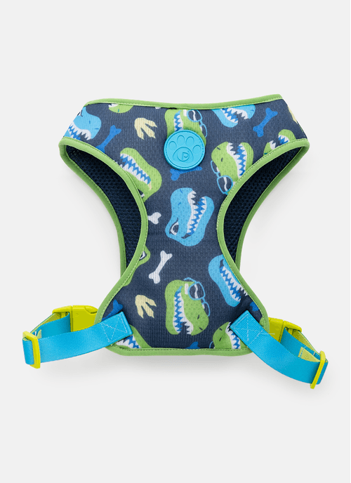 Peitoral Style para Pets Dinossauro Skate