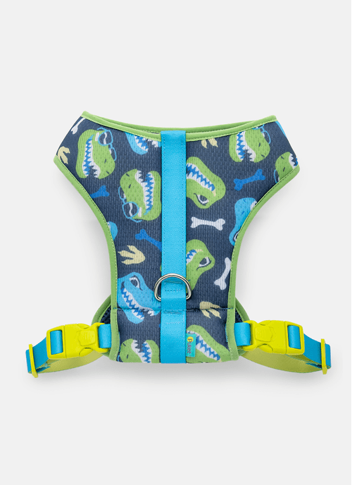 Peitoral Style para Pets Dinossauro Skate