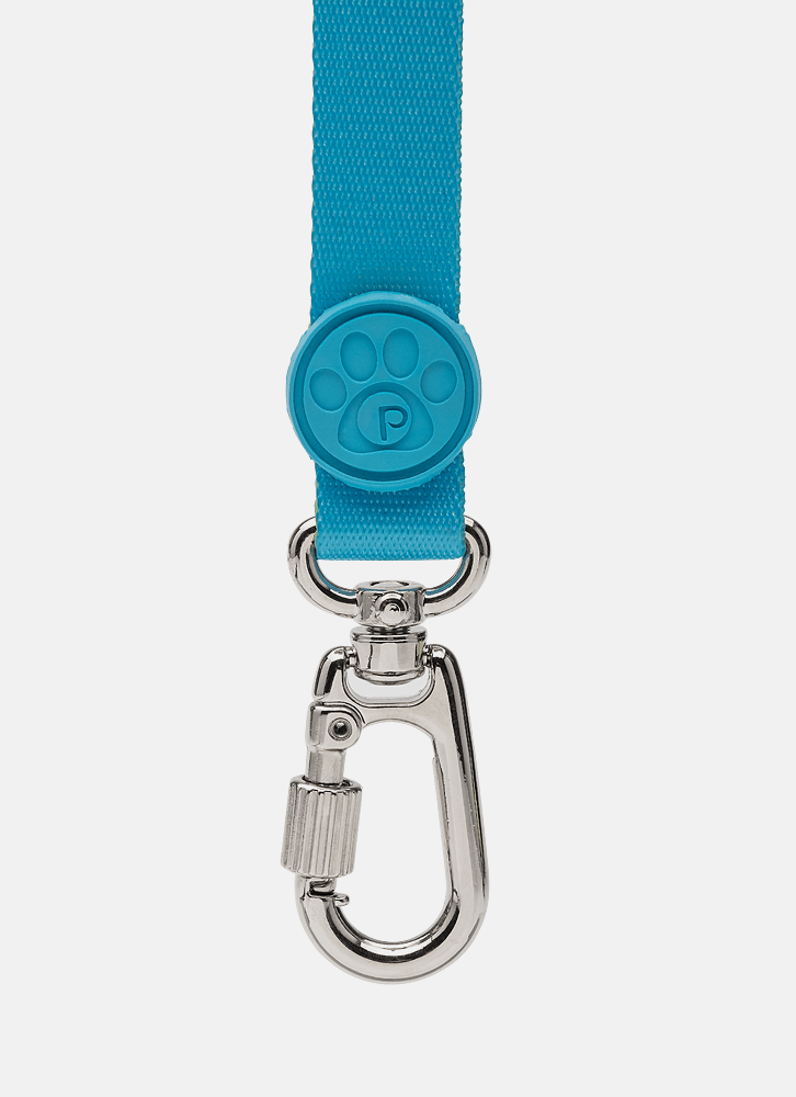 Guia-Style-Para-Pets-Color-Block-Azul