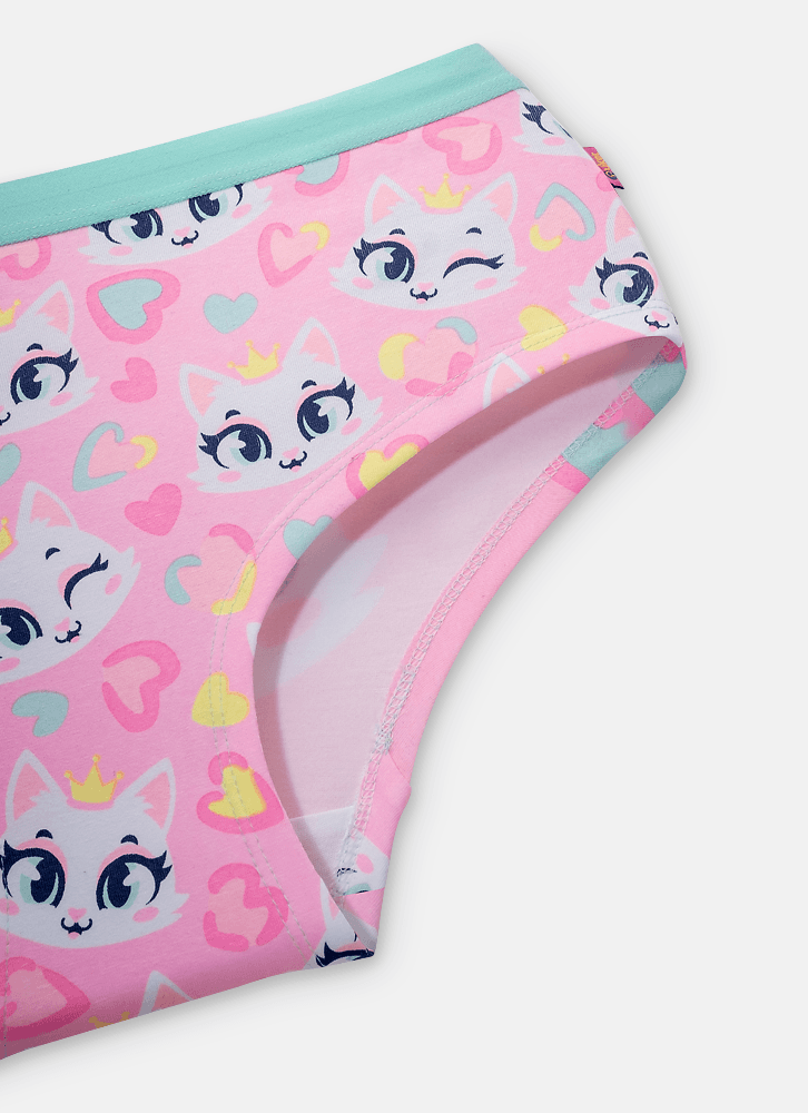 Calcinha-Calecon-Feminina-Algodao-Gata-Romantica