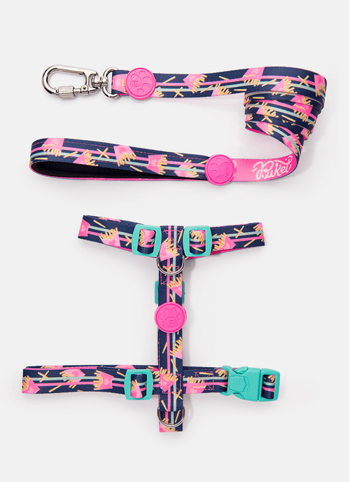 Kit Peitoral H + Guia Pets Color Comidinhas