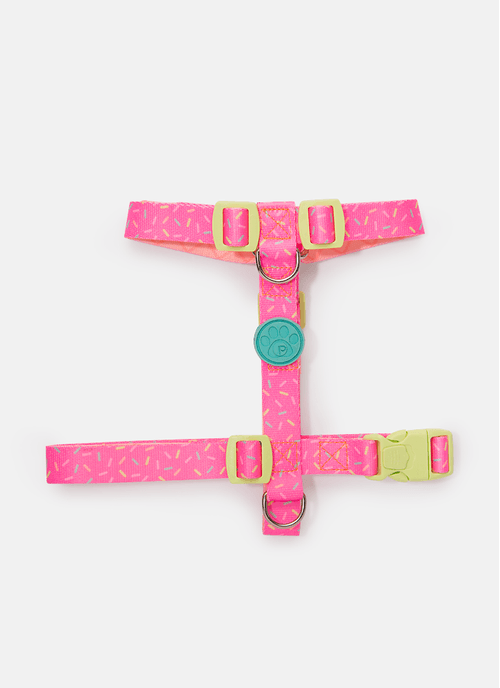 Kit Peitoral H + Guia Pets Doces