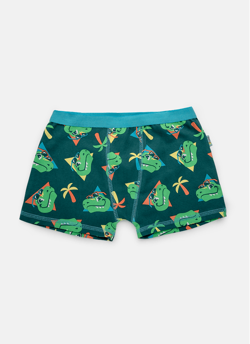 Cueca Boxer Algodão Menino Dino Miami