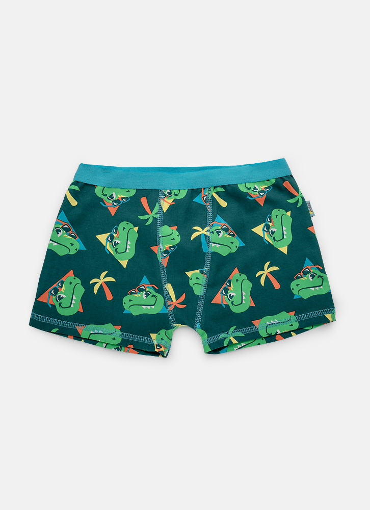 Cueca-Boxer-Algodao-Menino-Dino-Miami