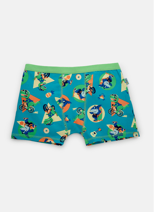 Cueca Boxer Algodão Menino Teen Multibichos