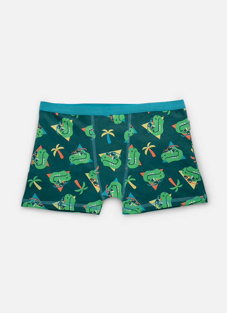 Cueca-Boxer-Algodao-Menino-Teen-Dino-Miami