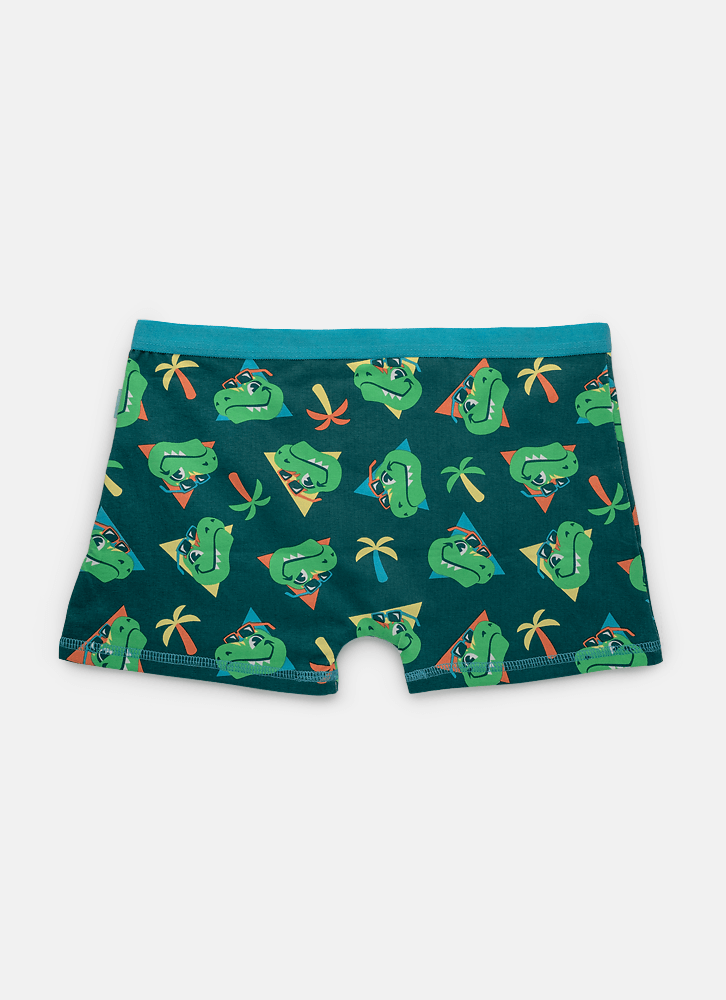 Cueca-Boxer-Algodao-Menino-Teen-Dino-Miami