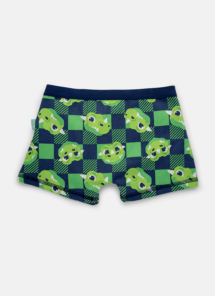 Cueca-Boxer-Menino-Dragao-Camping