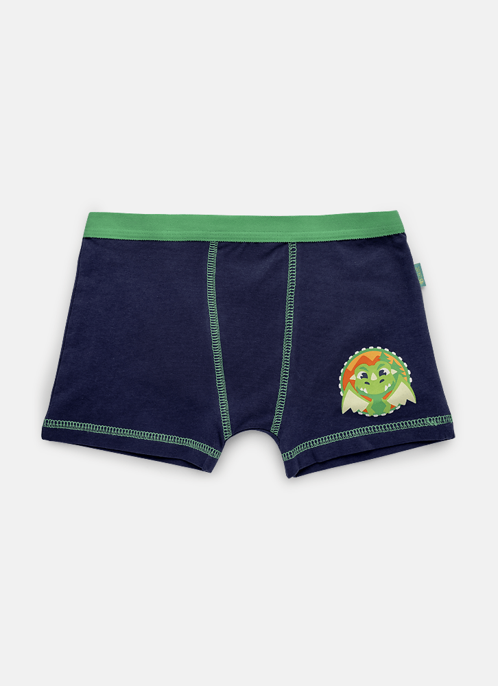 Cueca-Boxer-Algodao-Menino-Teen-Dragao-Camping