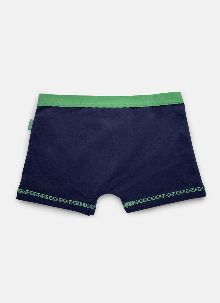 Cueca-Boxer-Algodao-Menino-Teen-Dragao-Camping
