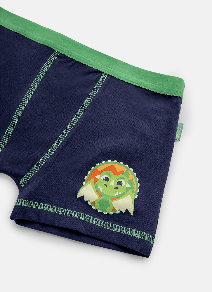 Cueca-Boxer-Algodao-Menino-Teen-Dragao-Camping