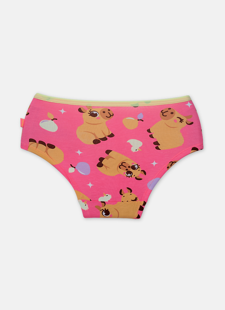 Calcinha-Calecon-Viscolycra-Feminina-Capivara-Vibes