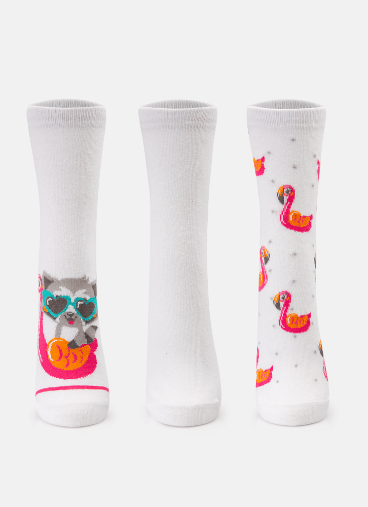 Kit-Com-3-Meias-Feminina-Guaxinim