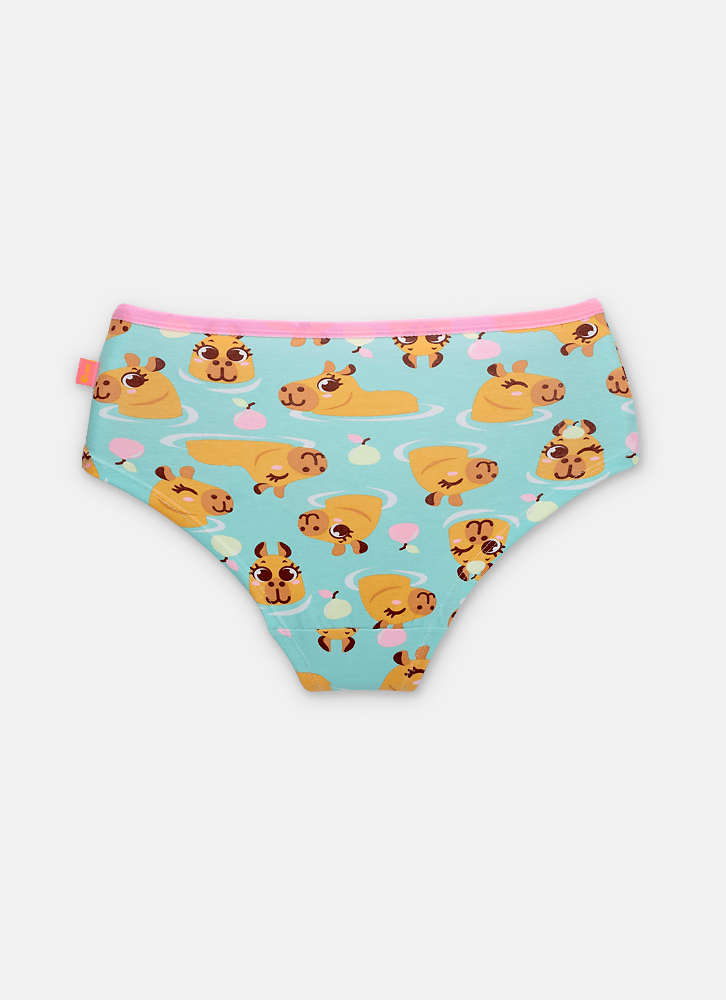 Calcinha-Calecon-Algodao-Feminina-Capy-Bora