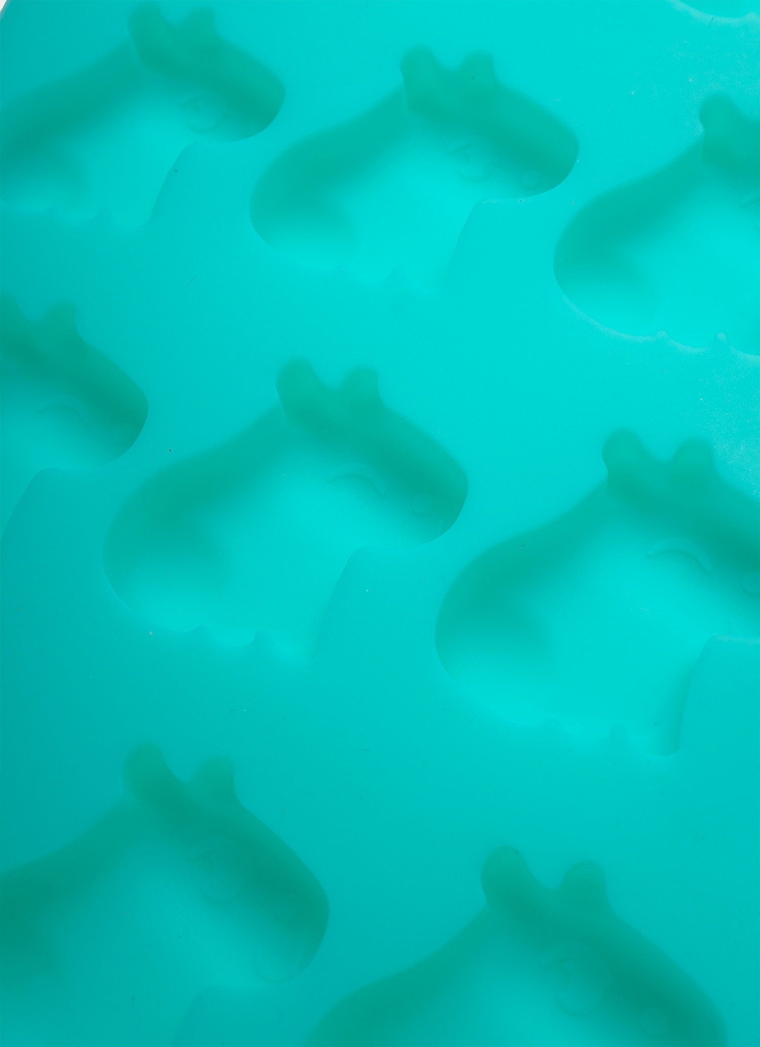 Forma-De-Silicone-Capivara